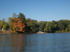 IMG 4649